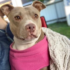 Meet your Posher, Kenzie